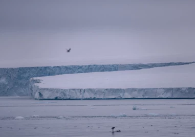 Италия влиза в „ледената надпревара за Арктика: Мелони обяви амбициозна стратегия за сигурност и бизнес