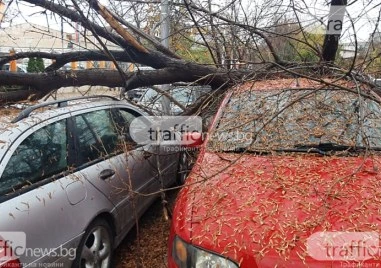 Семейство се размина на косъм с трагедия след като огромен
