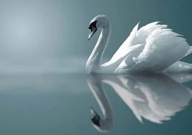 Скритите послания с  Красимир Куртев Скъпи читатели на Trafficnews добре