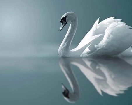 Скритите послания: Символизмът  на числото 2