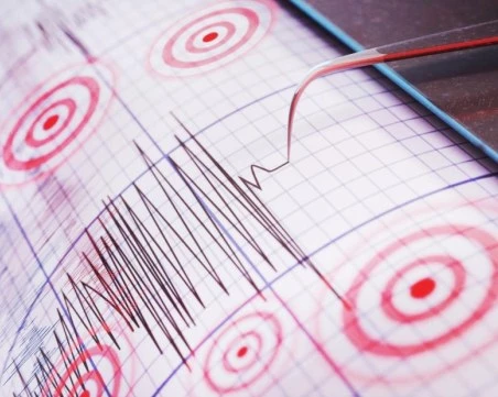 Земетресение разлюля мексиканския щат Гереро