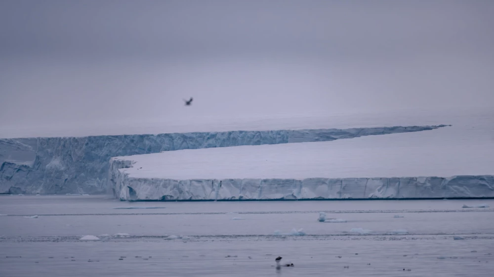 Италия влиза в „ледената надпревара