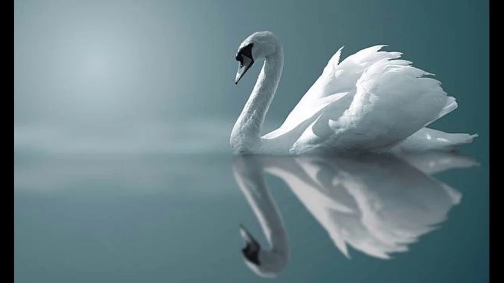 Скритите послания: Символизмът  на числото 2