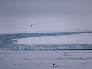 Италия влиза в „ледената надпревара
