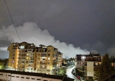 Служители на спрения дървопреработвателен завод в Търново готвят протест