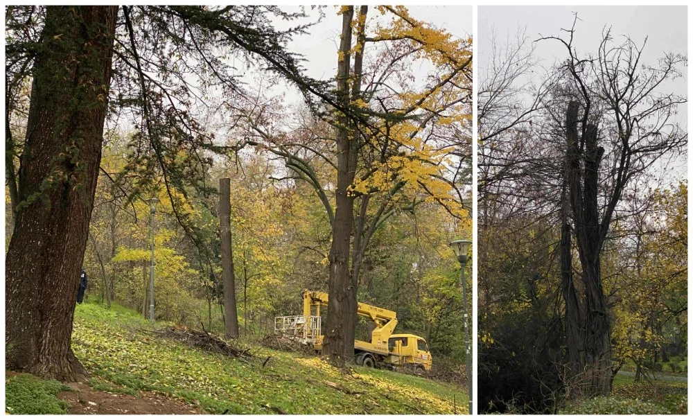 Район „Централен