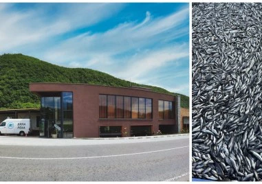 Предварително планувана атака която цели да нанесе икономическа щета стои