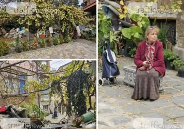 Казусът с котешката драма  в центъра на Пловдив стигна до