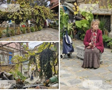 Котешката драма в центъра на Пловдив стигна до съда, бутнаха глоба на БАБХ