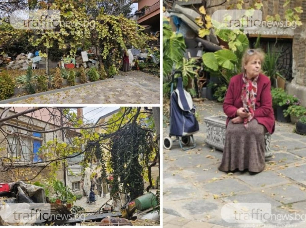 Казусът с котешката драма  в центъра на Пловдив стигна до