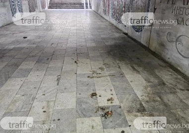 Въпреки многократните почиствания подлезът под бул България продължава да функционира