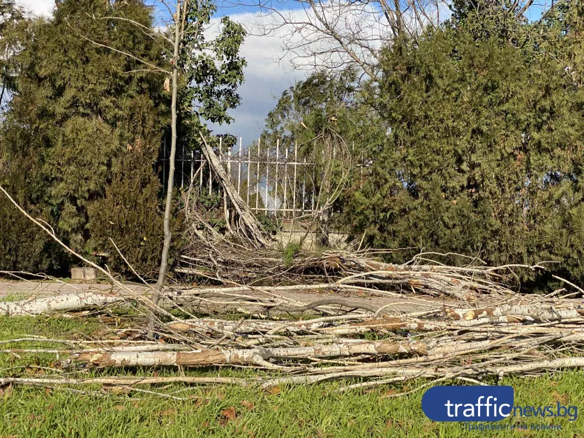 Сигналите за екология до Омбудсмана на Пловдив нараснаха трикратно