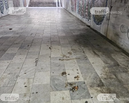 Пловдивски подлез продължава да е лична тоалетна за вандали, след всяко почистване – нова „мина