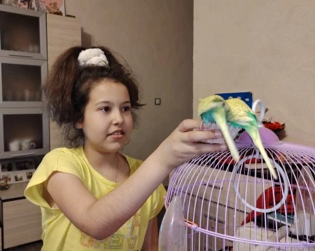 Зав за помощ: 11-годишната Мартинела се нуждае спешно от чернодробна трансплантация