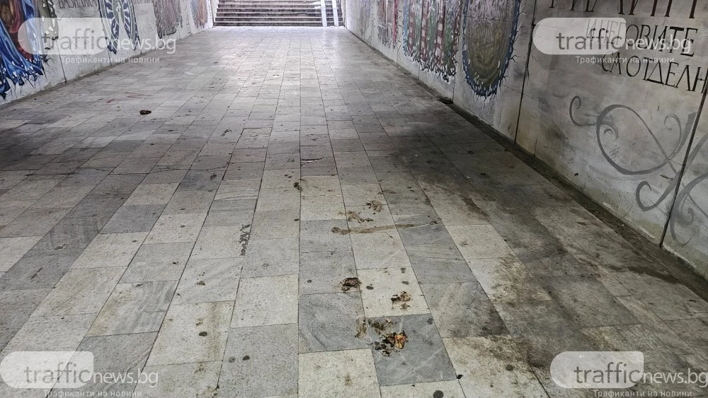 Пловдивски подлез продължава да е лична тоалетна за вандали, след всяко почистване – нова „мина