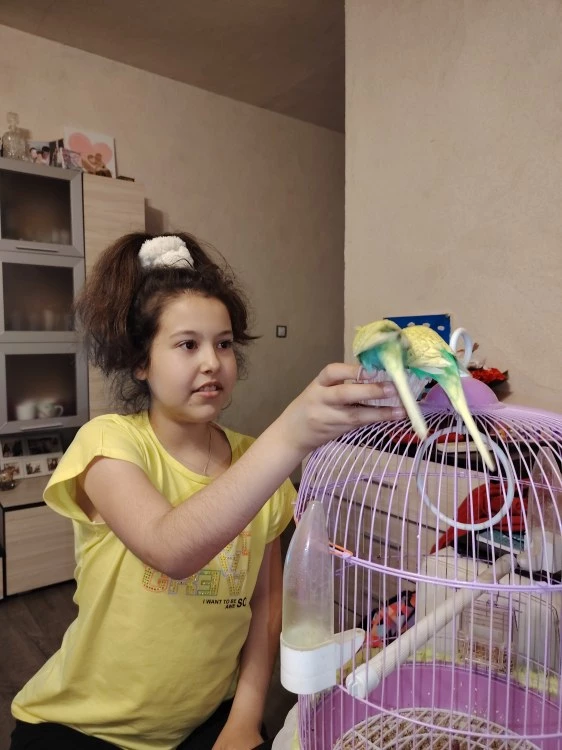 Зав за помощ: 11-годишната Мартинела се нуждае спешно от чернодробна трансплантация