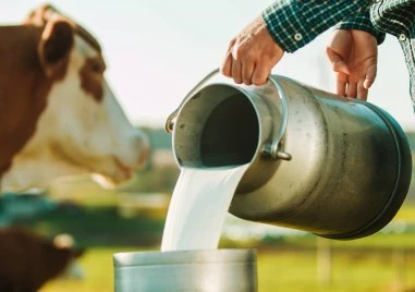 КЗК прави проверка на пазара на млечни продукти