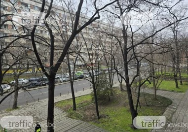 Стотици домакинства в Пловдив останаха без електрозахранване след като токът