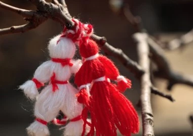 139 са местата по цялата Главна улица – от Централна