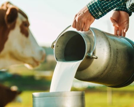 КЗК прави проверка на пазара на млечни продукти