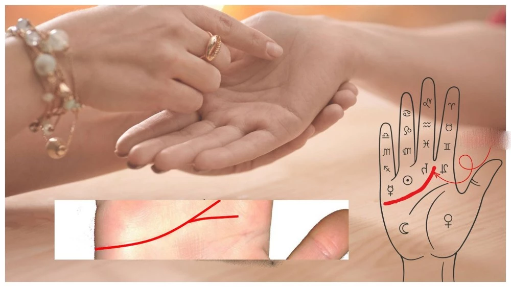 Скритите послания: Линиите на дланта показват подходящ ли е партньорът ви