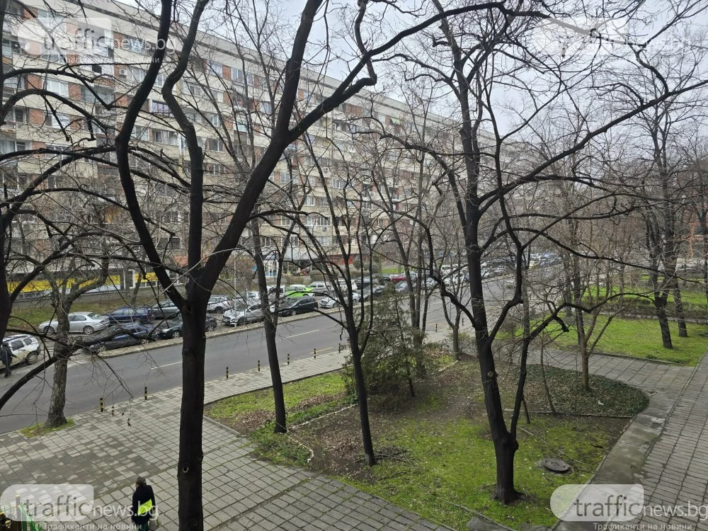 Стотици домакинства и родилен дом останаха без ток в центъра на Пловдив