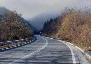 Държавата трябва да положи усилия и да подпомогне реализирането на