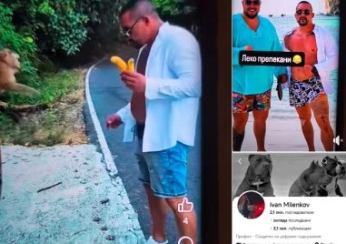 Сериозно обществено възмущение предизвикаха видеа и публикации в социалните мрежи