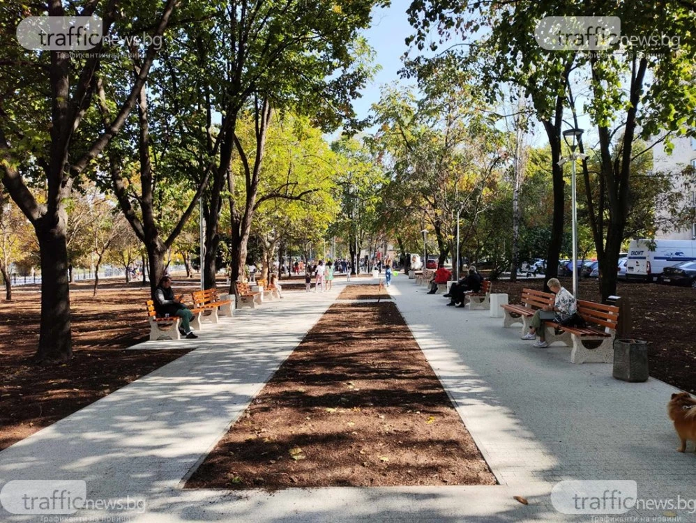 Създават „тихи зони