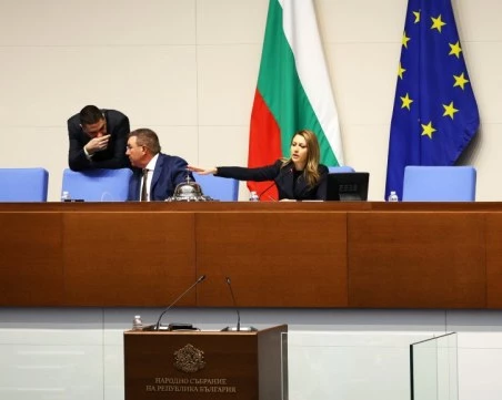 Скандали в парламента да се ограничат ли изборните секции извън ЕС