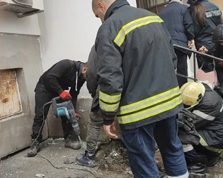 Строители зазидаха живо коте в стена в Бургас и отказаха да я разбият