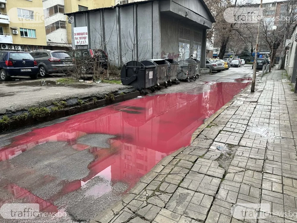 Червени локви се появиха в цял квартал на Пловдив, властите със спешна проверка СНИМКИ