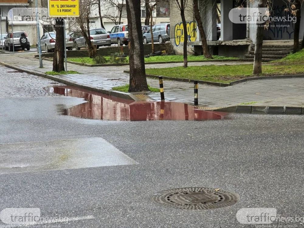 Служители на „Чистота