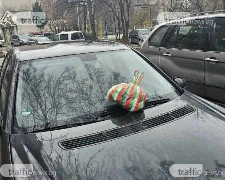 Торбичка с боклуци се озова върху кола, блокирала алея за пешеходци