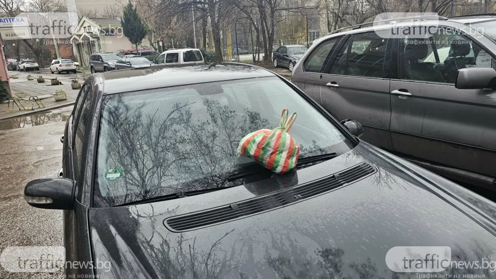 Торбичка с боклуци се озова върху кола, блокирала алея за пешеходци