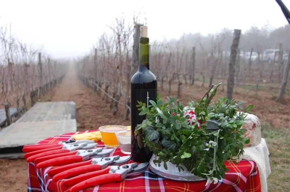 Днес отбелязваме Трифоновден! Какви обичаи се спазват на празника