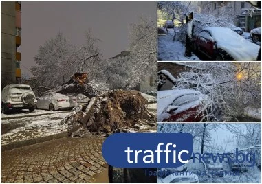 Силният снеговалеж от последните часове създаде сериозни проблеми в Пловдив