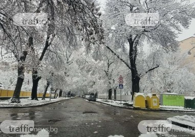 Костадин Димитров: Пловдив е почистен! Благодаря на общинските служители