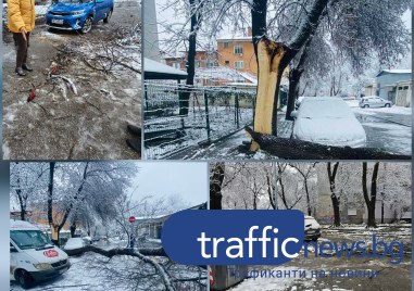 На фона на сериозната ситуация под тепетата в Община Родопи