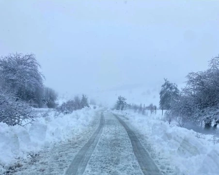 До 20 сантиметра е снежната покривка в Асеновград, всички снегорини са на терен