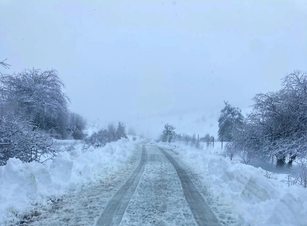 До 20 сантиметра е снежната покривка в Асеновград, всички снегорини са на терен