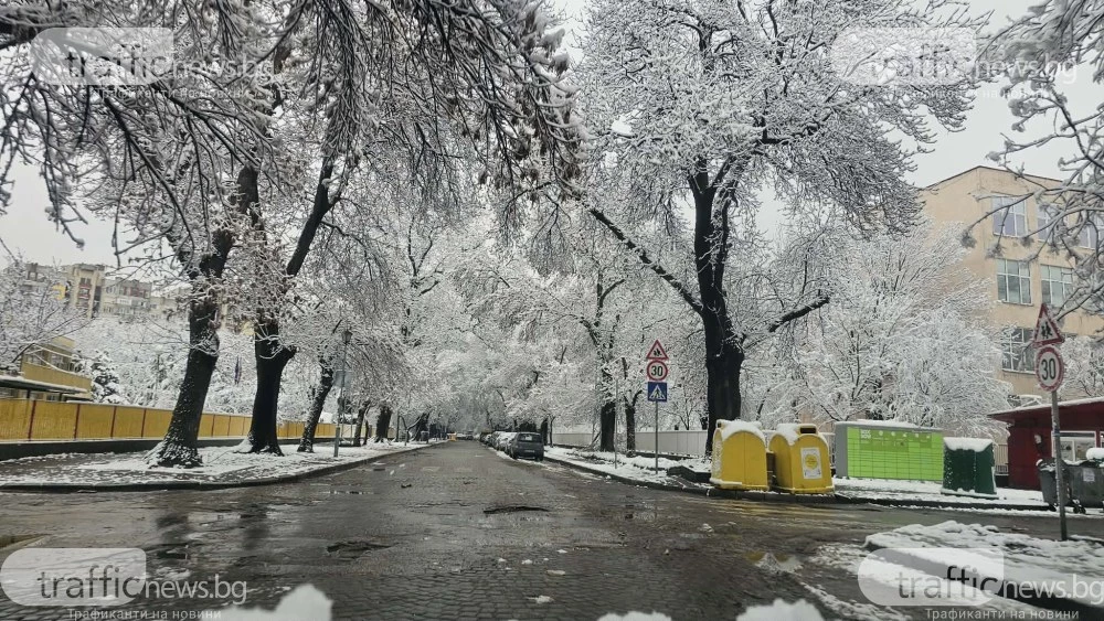 Костадин Димитров: Пловдив е почистен! Благодаря на общинските служители