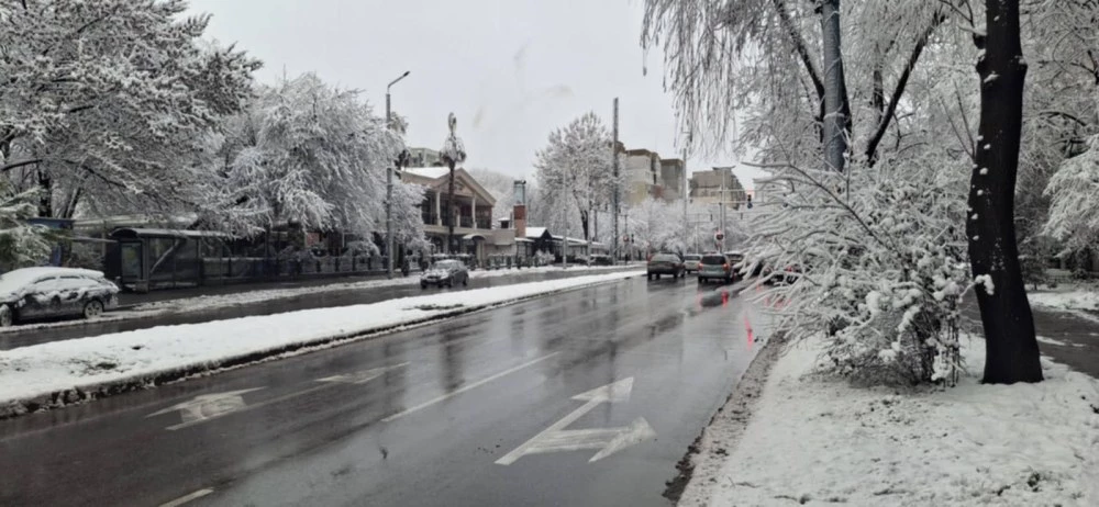 На територията на район Северен“ се извършва обработка на уличната