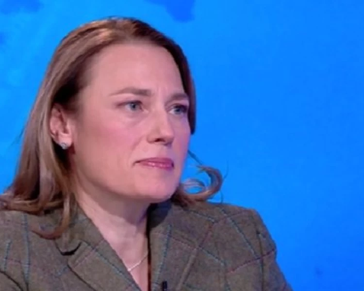 Ива Митева: Изборният кодекс стана инструмент за присъствие в парламента