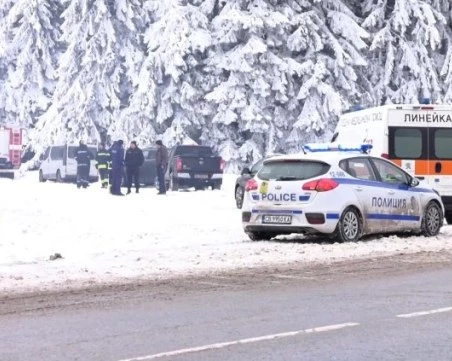 Историята на 8-годишния Леон, който живял с „лама