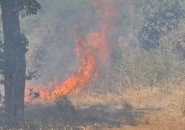 60 пожара са потушени за денонощието в страната