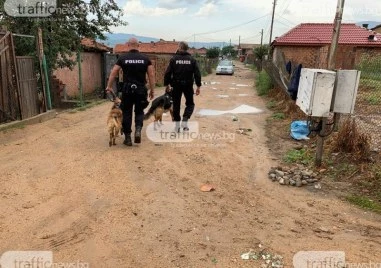 Хулиган нападнал полицейски служител с дръжката на вила по време