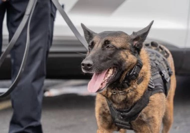 35 годишен български гражданин е арестуван в района на Солун