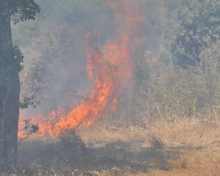 60 пожара са потушени за денонощието в страната