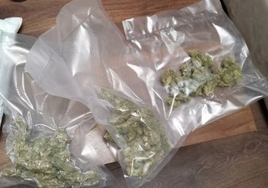 Около 40 тона марихуана са конфискувани при полицейски операции в